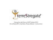 SANNIO TOP WINES 2014 - terrestregate